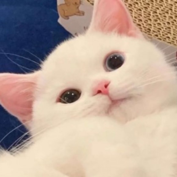 asdmadmkjiowl92